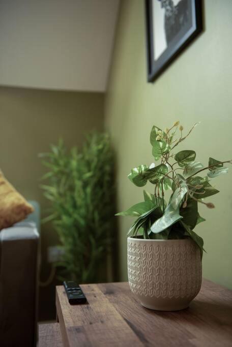 The Nest - Cosy And Quiet 1 Bed Central Apartment Buckingham Bagian luar foto